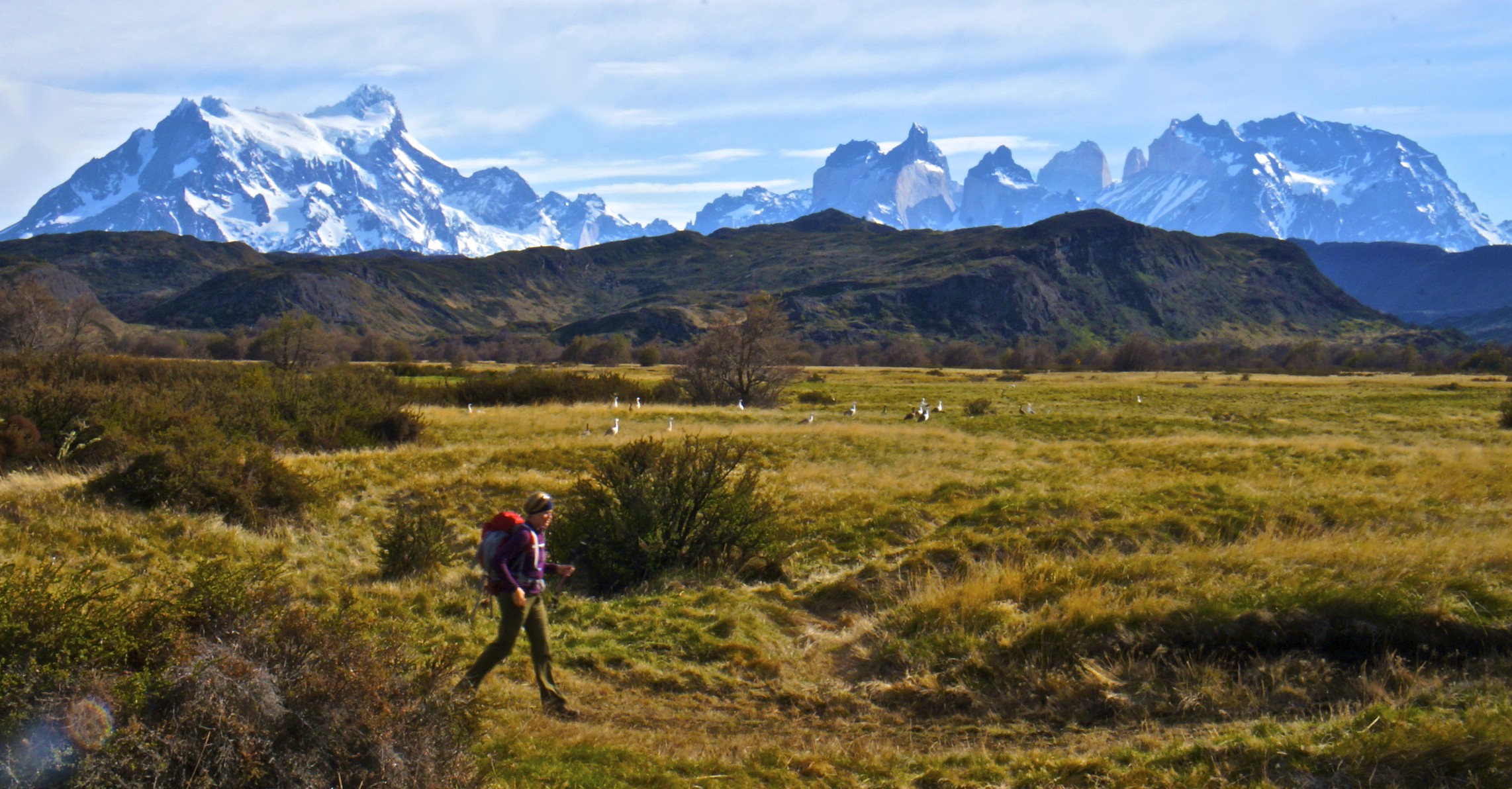 Trekking the “W”~Torres del Paine National Park, Patagonia