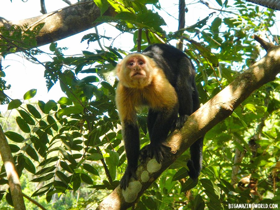 Nicoya Blue Zone Costa Rica