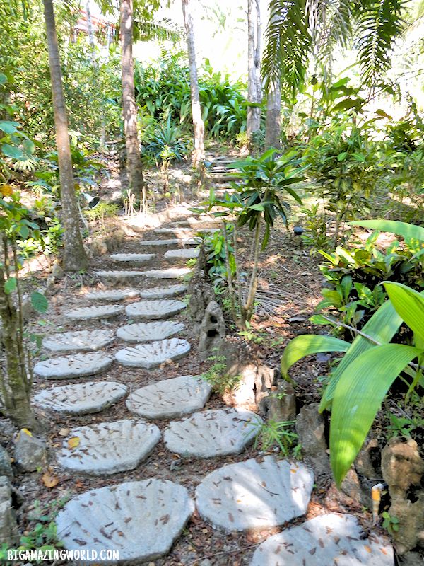 Luz de Mono Hotel Montezuma