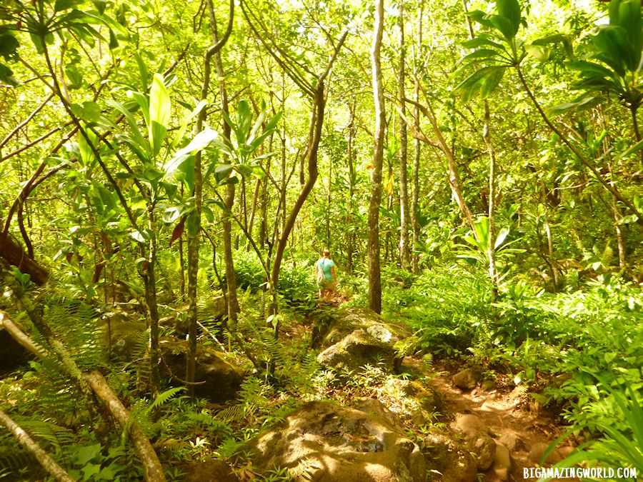 Na Pali Coast Kalalau Trail