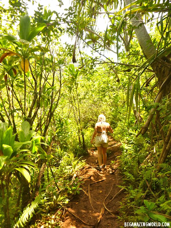 Napali Coast Kalalau Trail