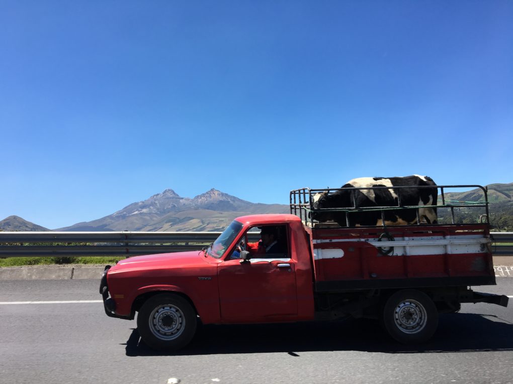 Headed back to Quito with the Illinizias for our view.