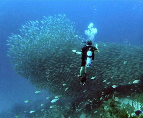 Diving into Bonaire, the B of the ABC Islands